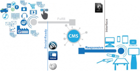 CMS Logical Schema